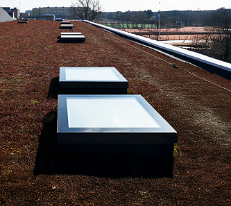 Rectangle Skylight - Image 1